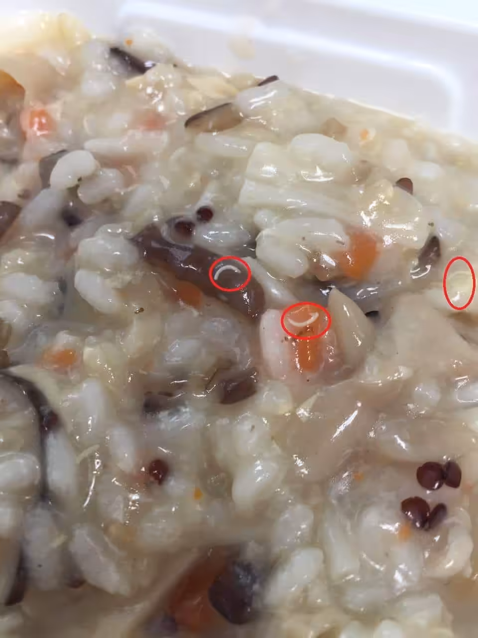 藜麥芯芽不是長蟲