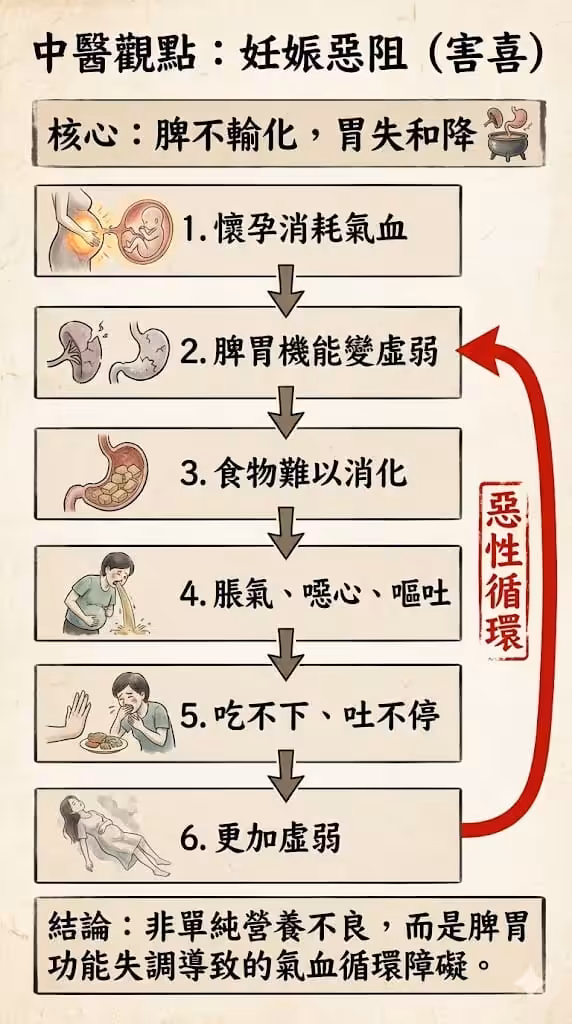 中醫觀點，害喜的惡性循環