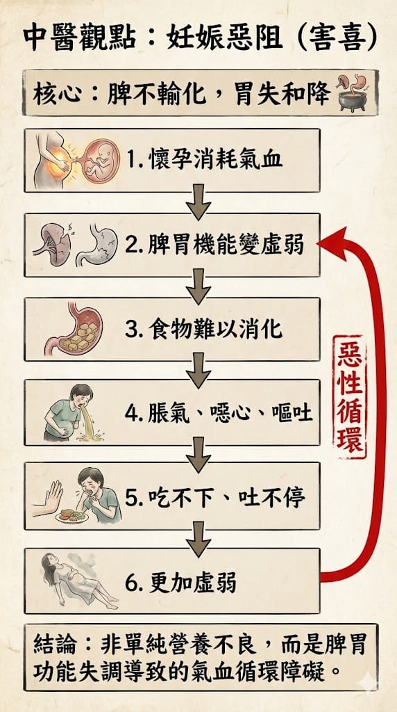 中醫觀點,害喜的惡性循環